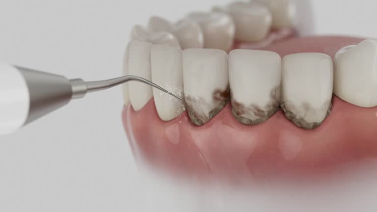 Reliable Dental contractor in Palos Verdes Estates, CA by Dentist Open Now